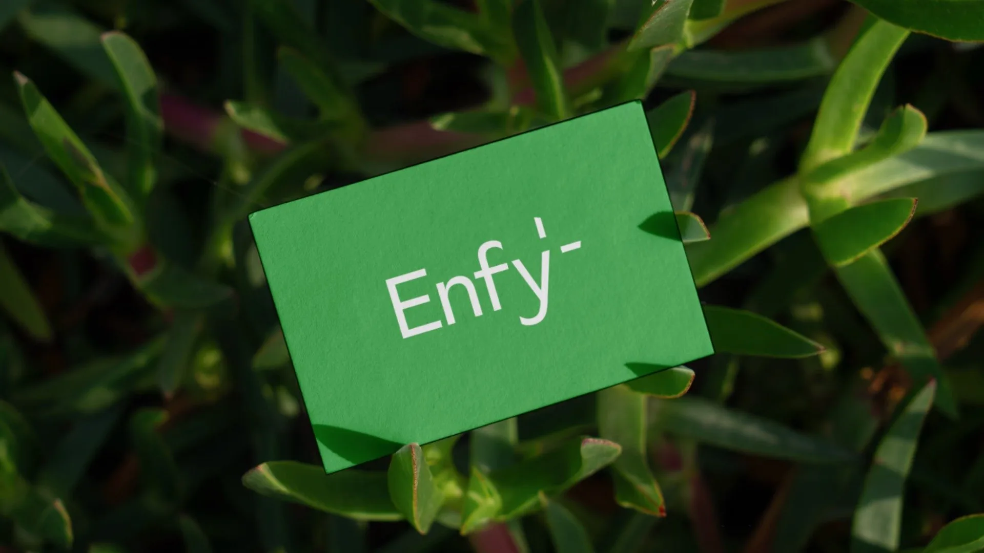 Enfy card among green plants